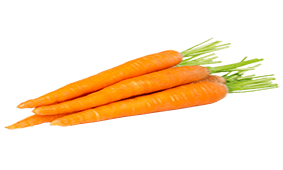 Korenje